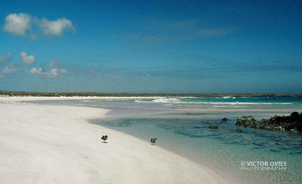 Santa Cruz